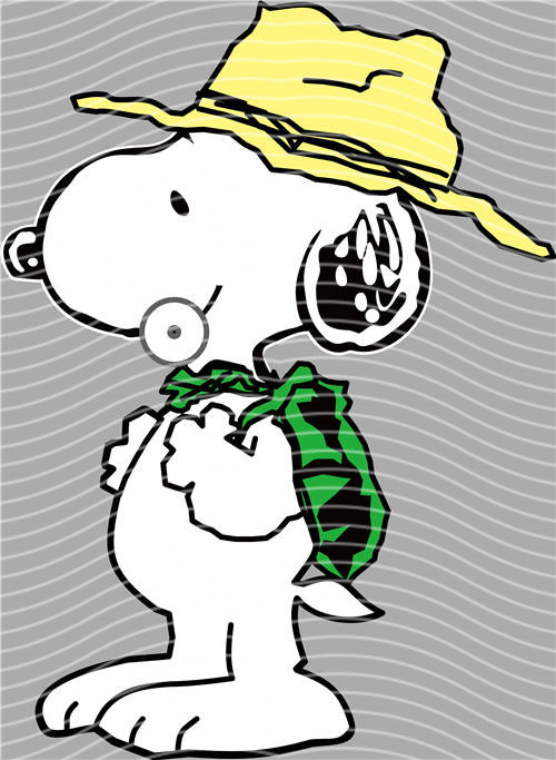 Snoopy- 311